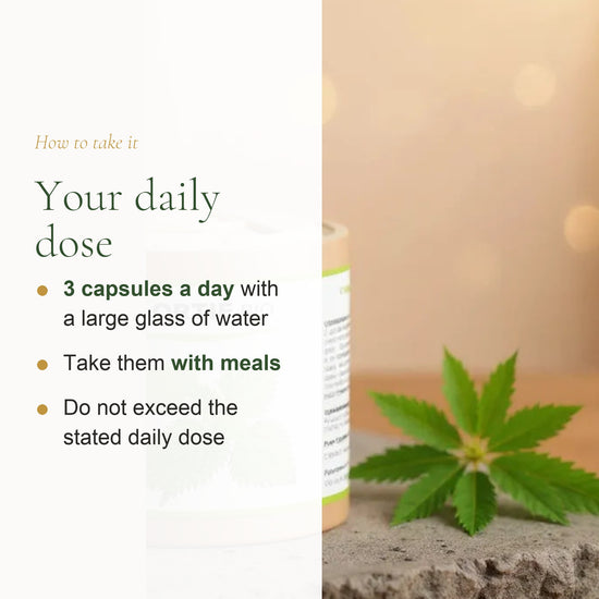 Organic Nettle Supplement – Natural Iron & Vitality Support – slide 6
