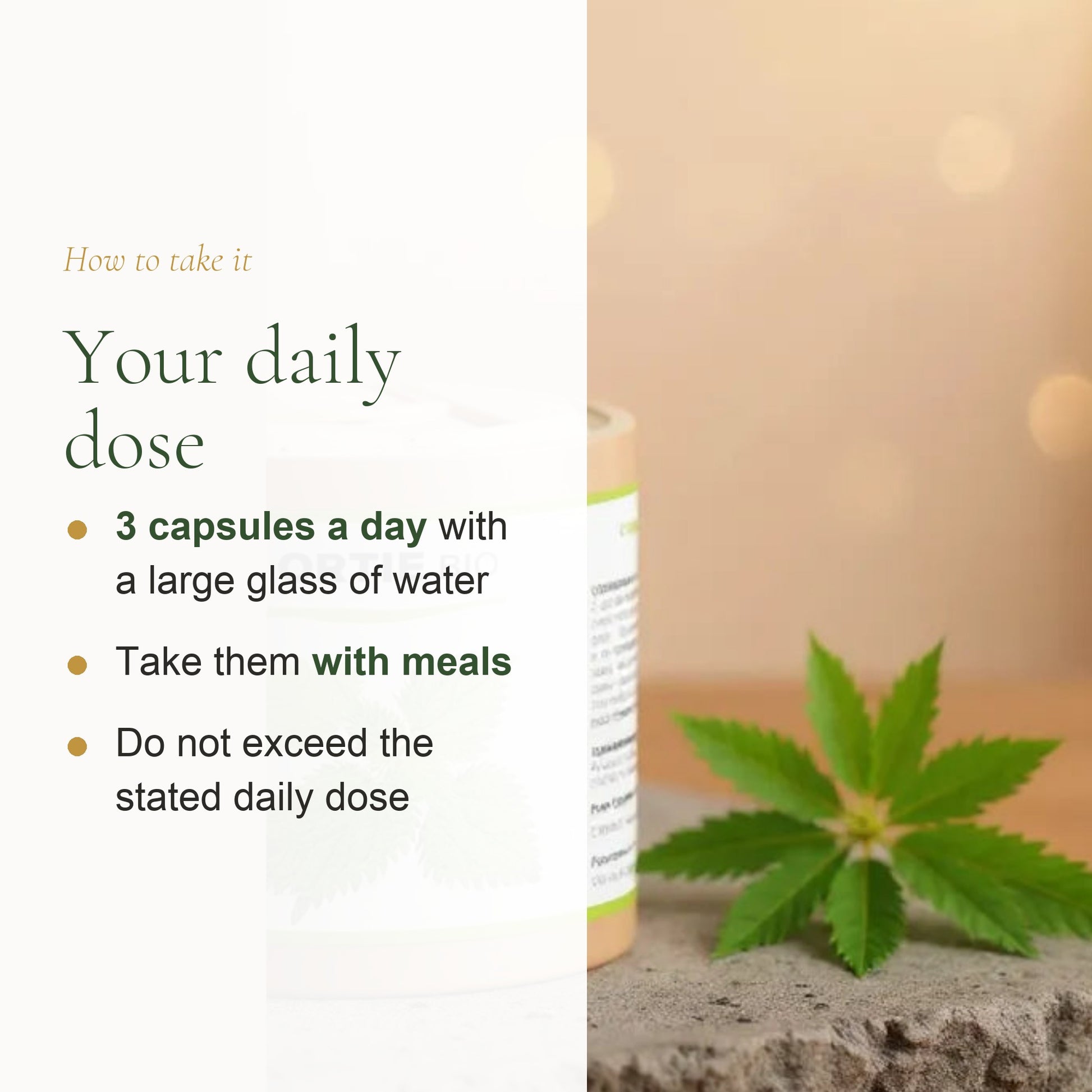 Organic Nettle Supplement – Natural Iron & Vitality Support – slide 6