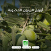مكمّل غذائي عضوي بخلاصة أوراق الزيتون – لدعم الدورة الدموية وتوازن السوائل – شريحة 1
