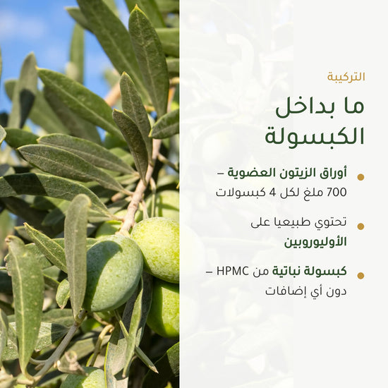 مكمّل غذائي عضوي بخلاصة أوراق الزيتون – لدعم الدورة الدموية وتوازن السوائل – شريحة 3
