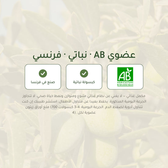 مكمّل غذائي عضوي بخلاصة أوراق الزيتون – لدعم الدورة الدموية وتوازن السوائل – شريحة 7