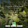 Organic Olive Leaf Supplement – Circulation & Fluid Balance – slide 1