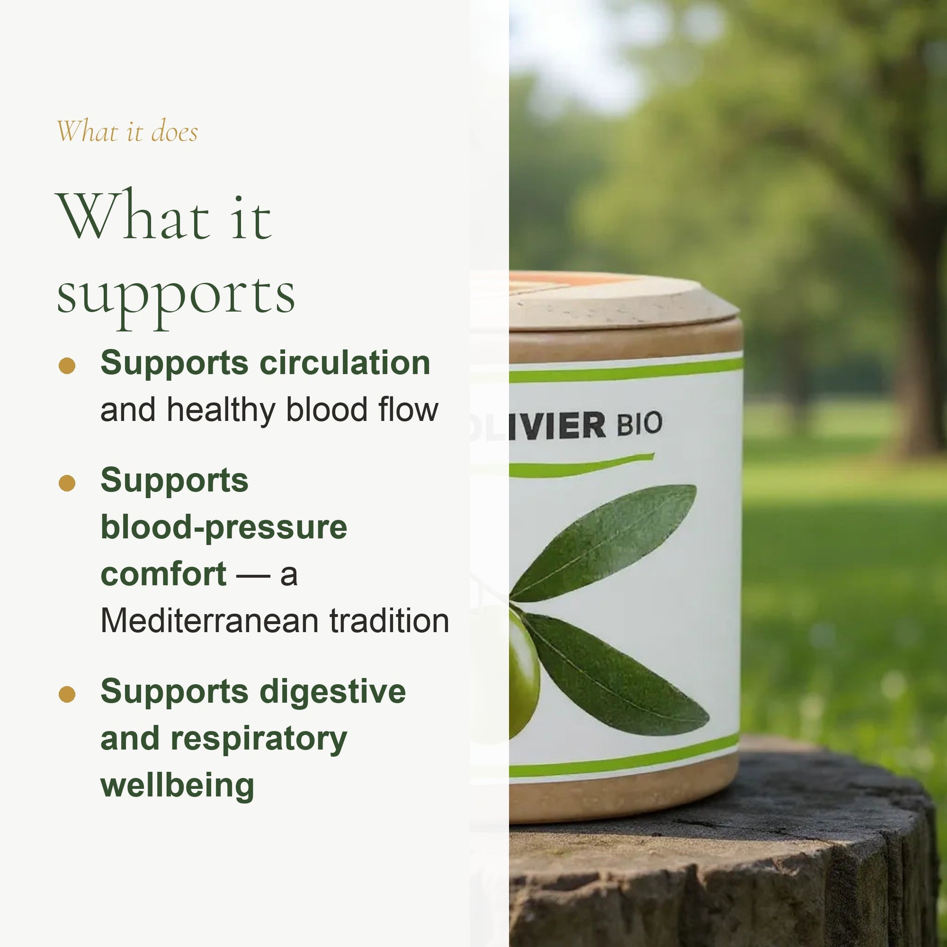 Organic Olive Leaf Supplement – Circulation & Fluid Balance – slide 2