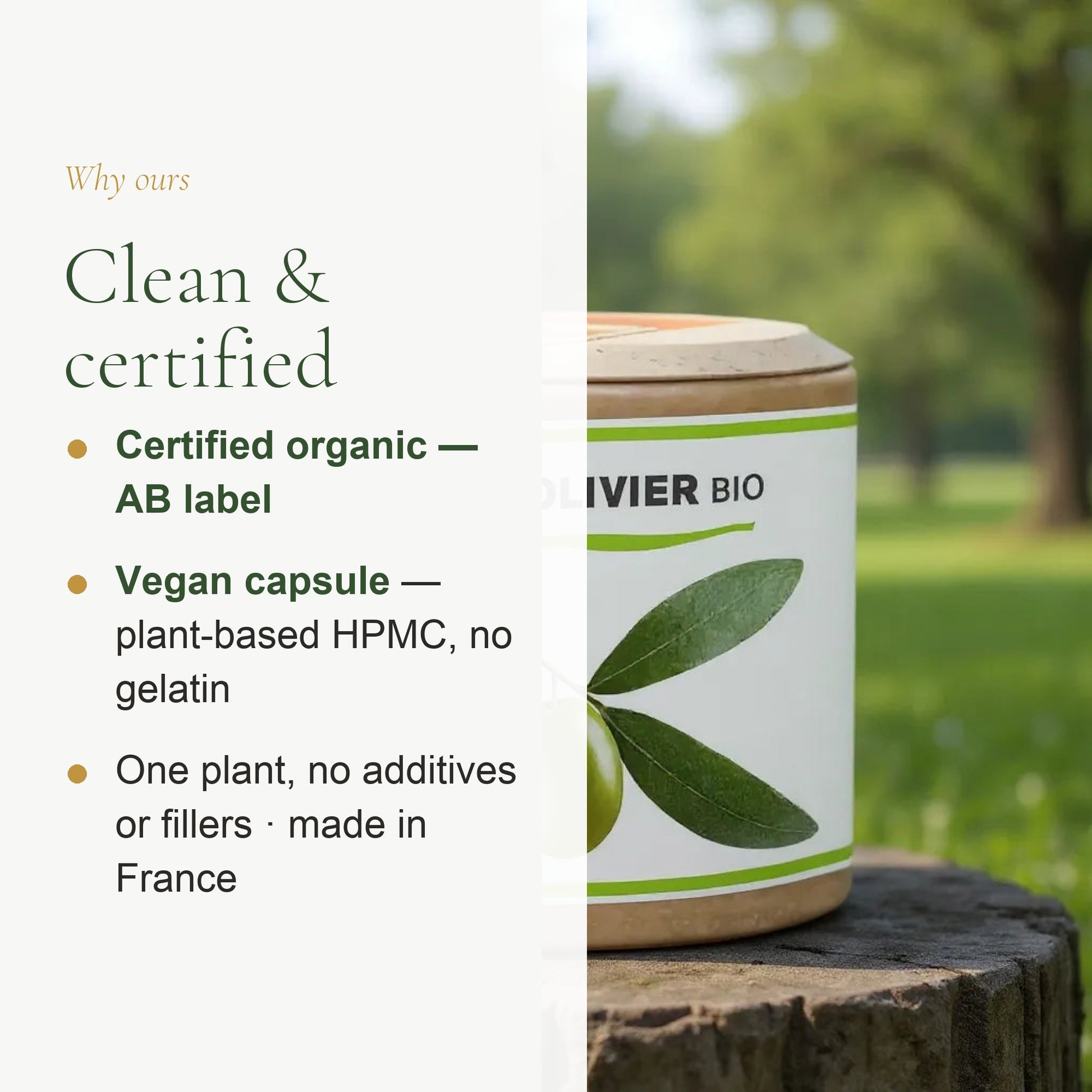 Organic Olive Leaf Supplement – Circulation & Fluid Balance – slide 4