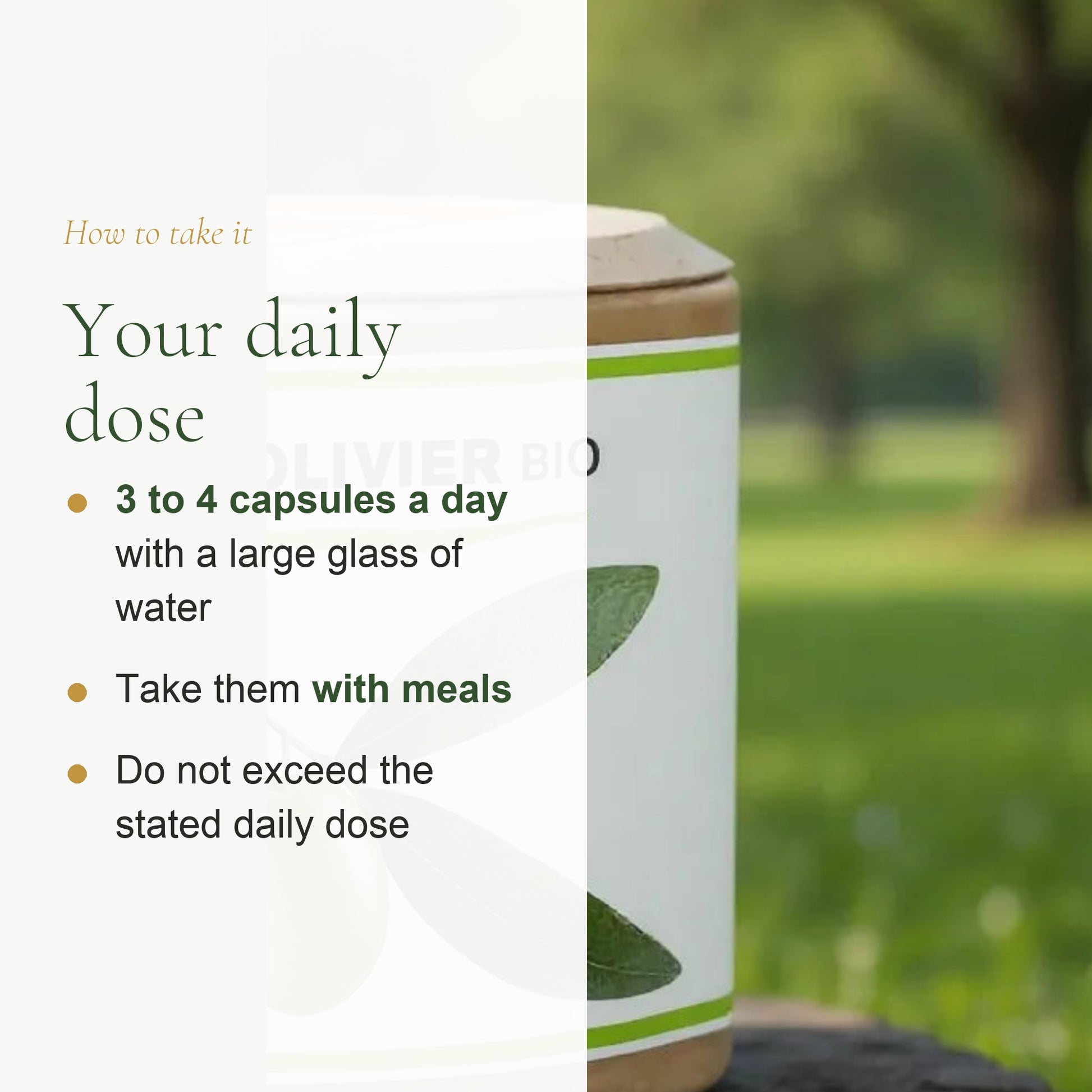 Organic Olive Leaf Supplement – Circulation & Fluid Balance – slide 6
