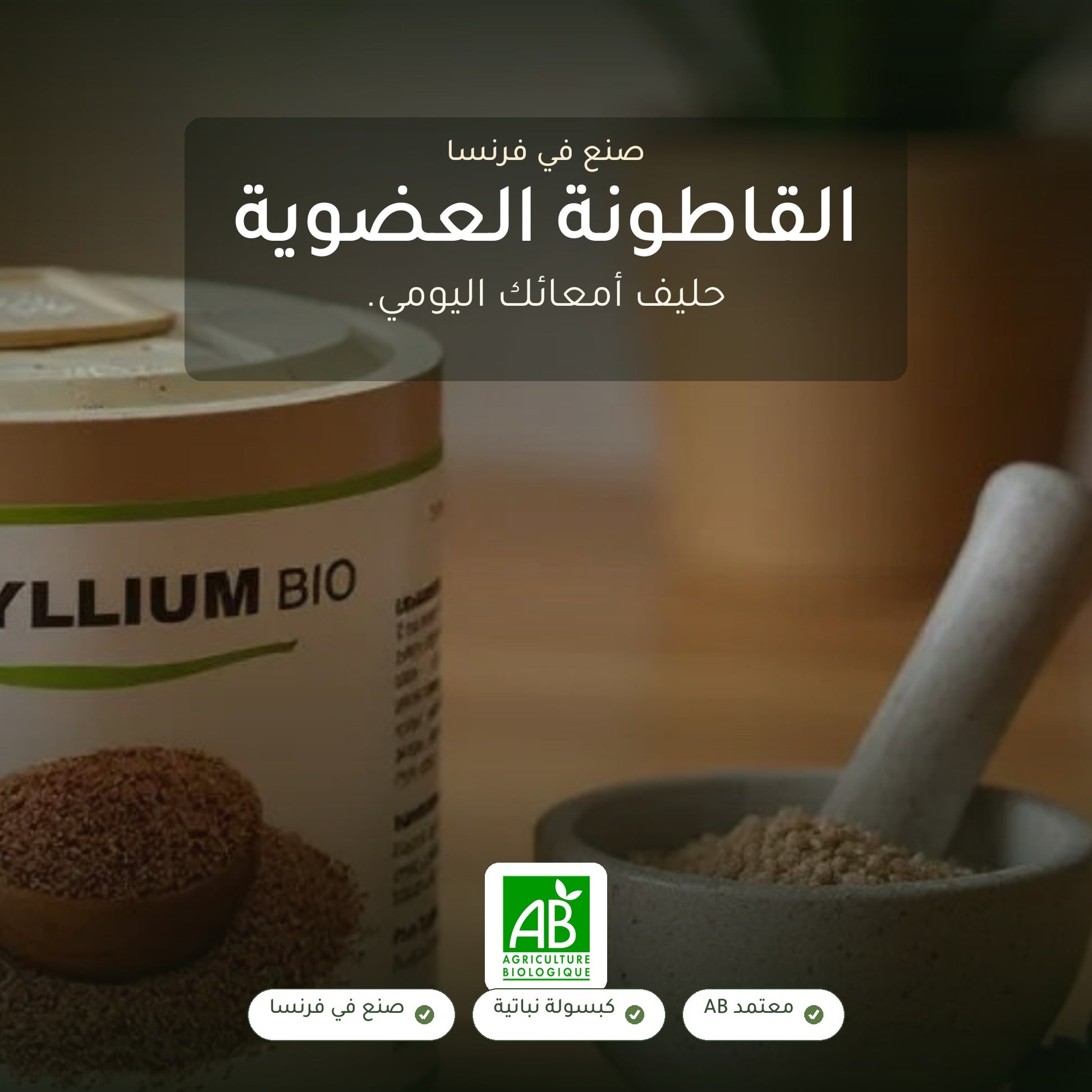 مكمل غذائي عضوي من السيليوم بذور القاطونة - لإنتظام الهضم ودعم صحة القلب – شريحة 1