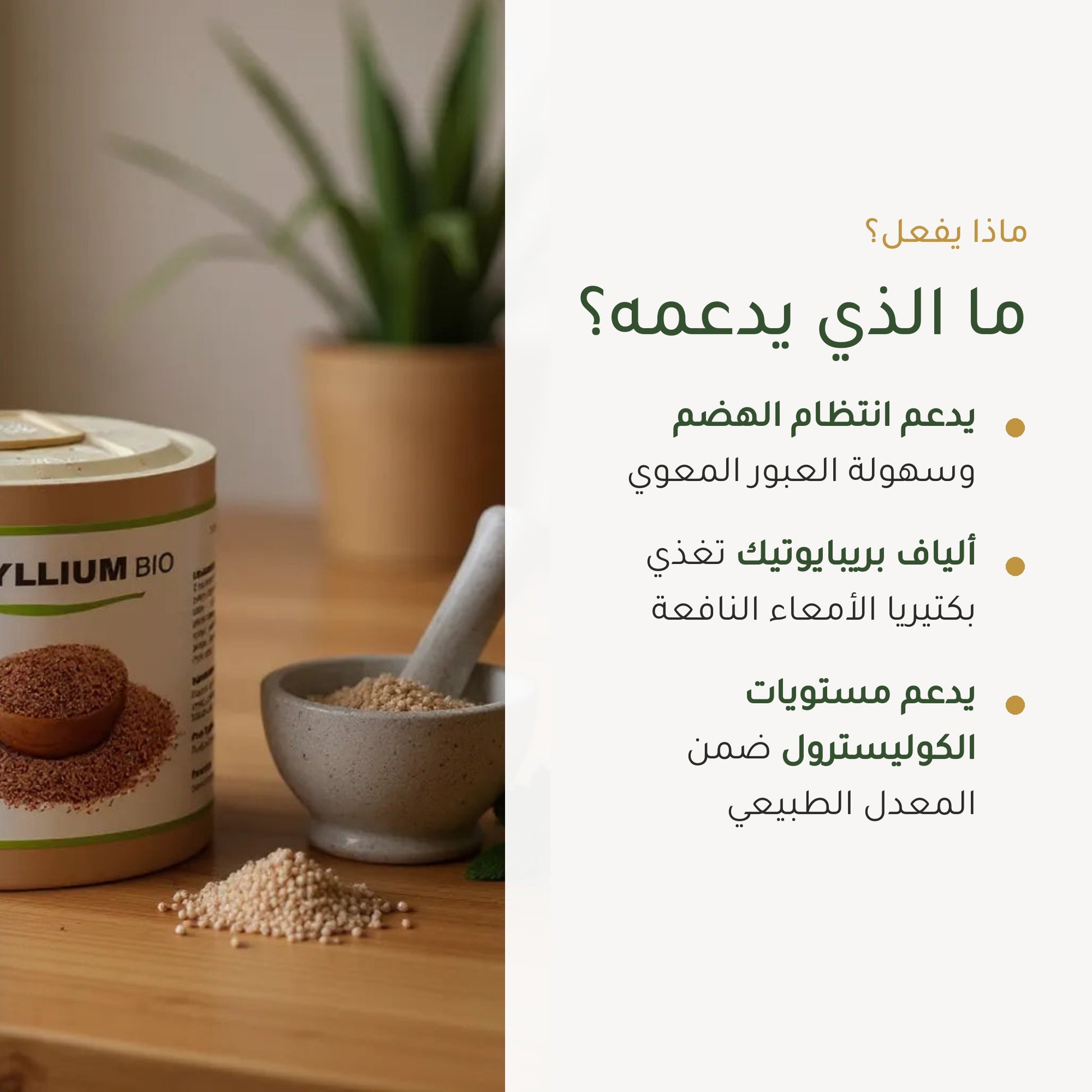 مكمل غذائي عضوي من السيليوم بذور القاطونة - لإنتظام الهضم ودعم صحة القلب – شريحة 2