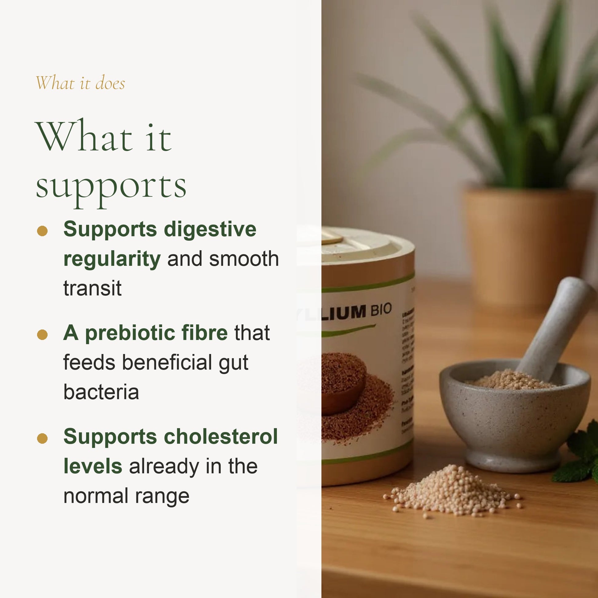 Organic Psyllium Supplement – Supports Healthy Digestion & Regularity – slide 2