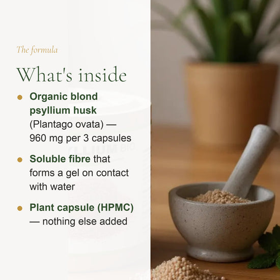 Organic Psyllium Supplement – Supports Healthy Digestion & Regularity – slide 3