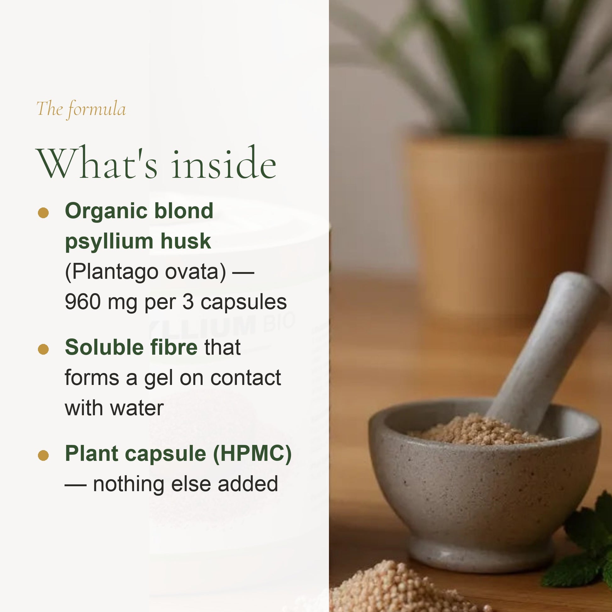 Organic Psyllium Supplement – Supports Healthy Digestion & Regularity – slide 3