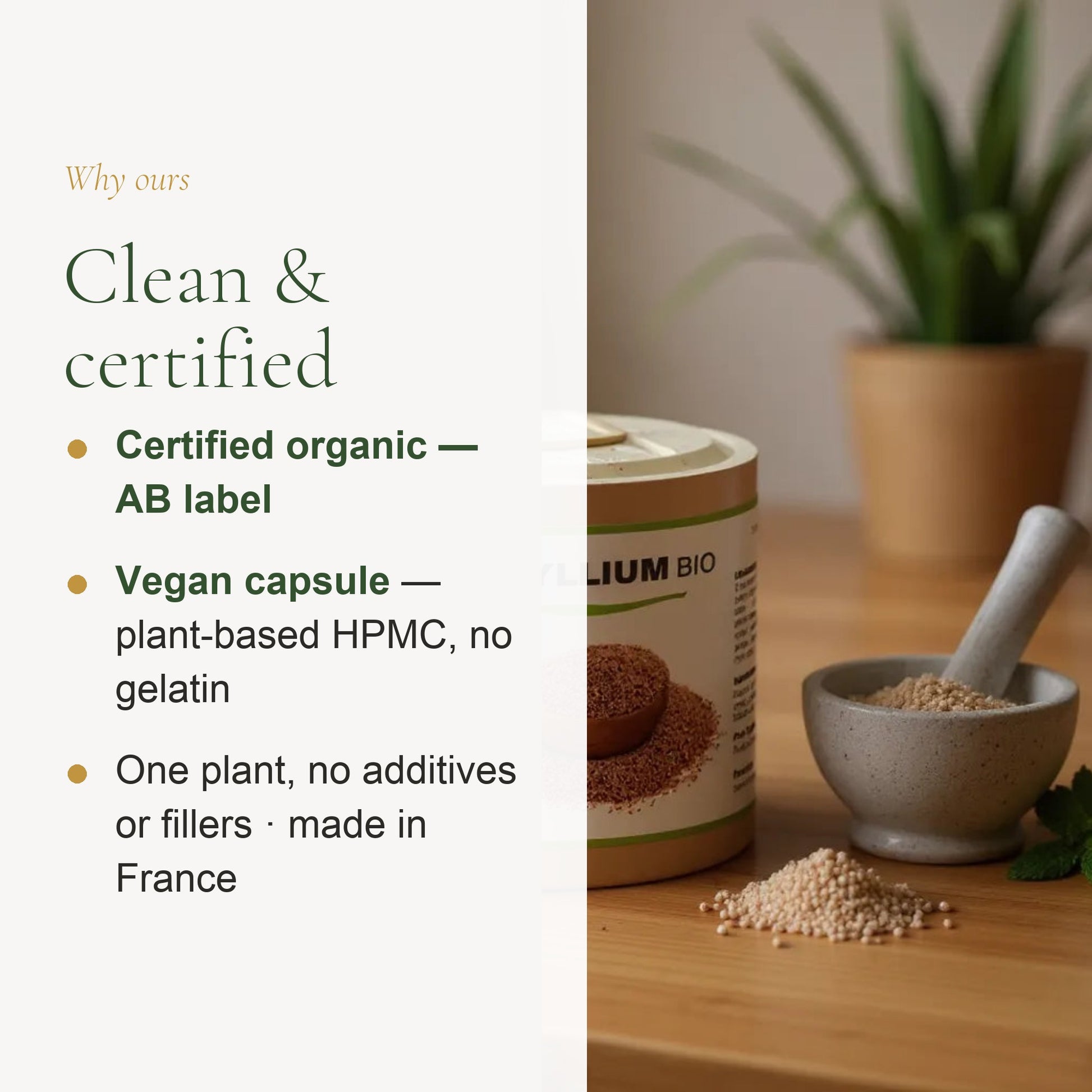 Organic Psyllium Supplement – Supports Healthy Digestion & Regularity – slide 4