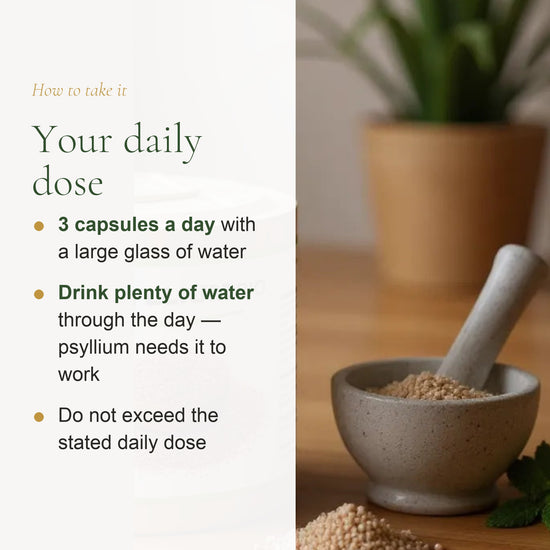 Organic Psyllium Supplement – Supports Healthy Digestion & Regularity – slide 6