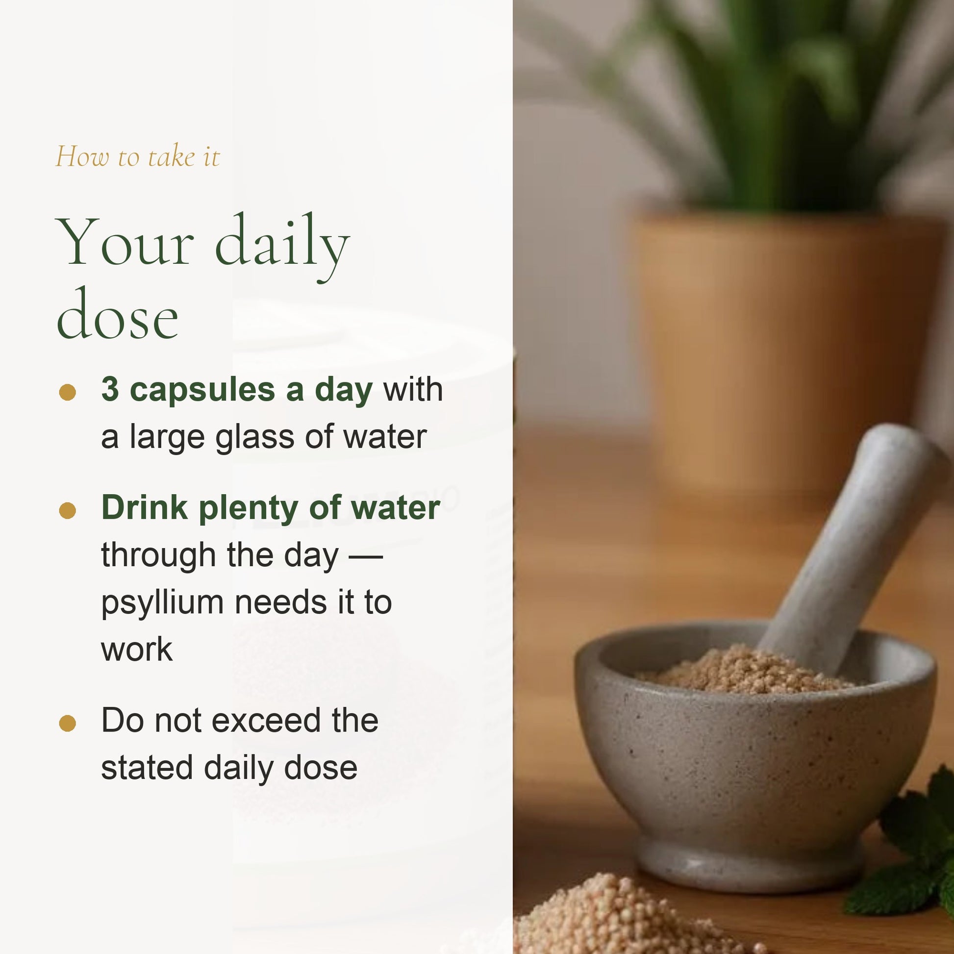 Organic Psyllium Supplement – Supports Healthy Digestion & Regularity – slide 6