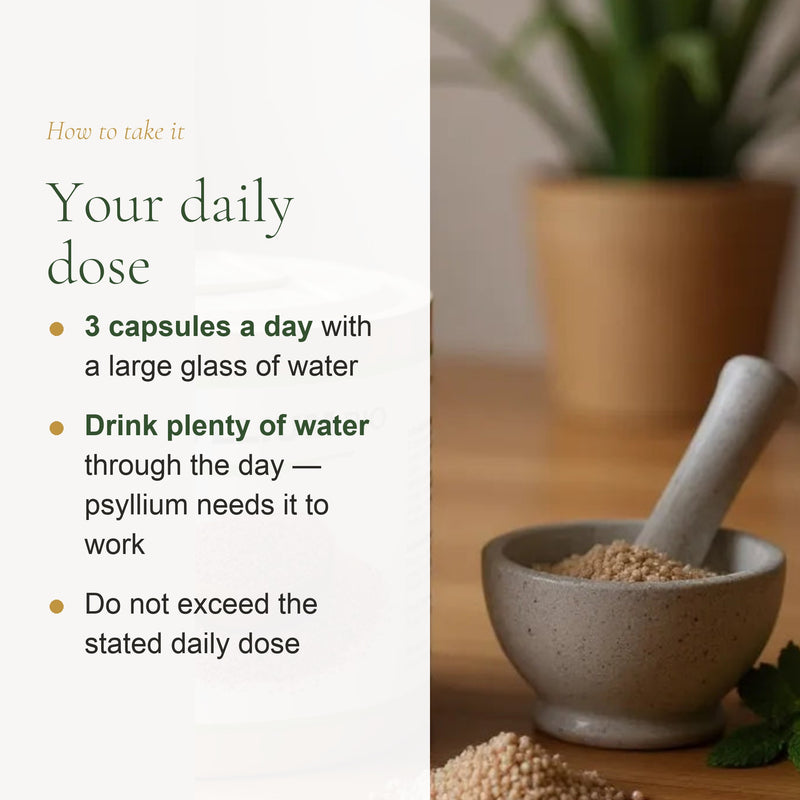 [EN] Organic Psyllium Supplement – Supports Healthy Digestion & Regularity – slide 6