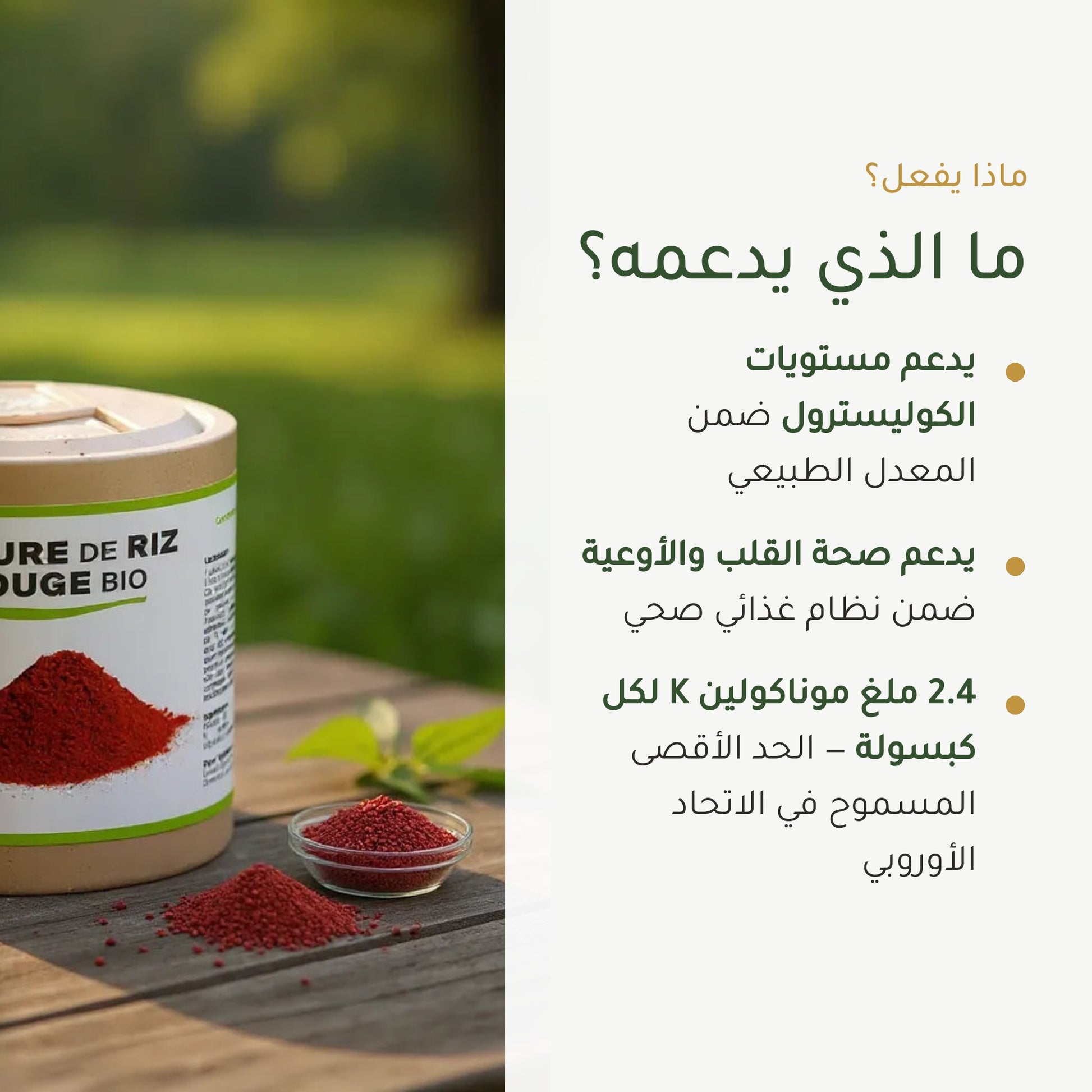 مكمل غذائي من خميرة الأرز الأحمر العضوي – دعم صحة القلب والدورة الدموية – شريحة 2