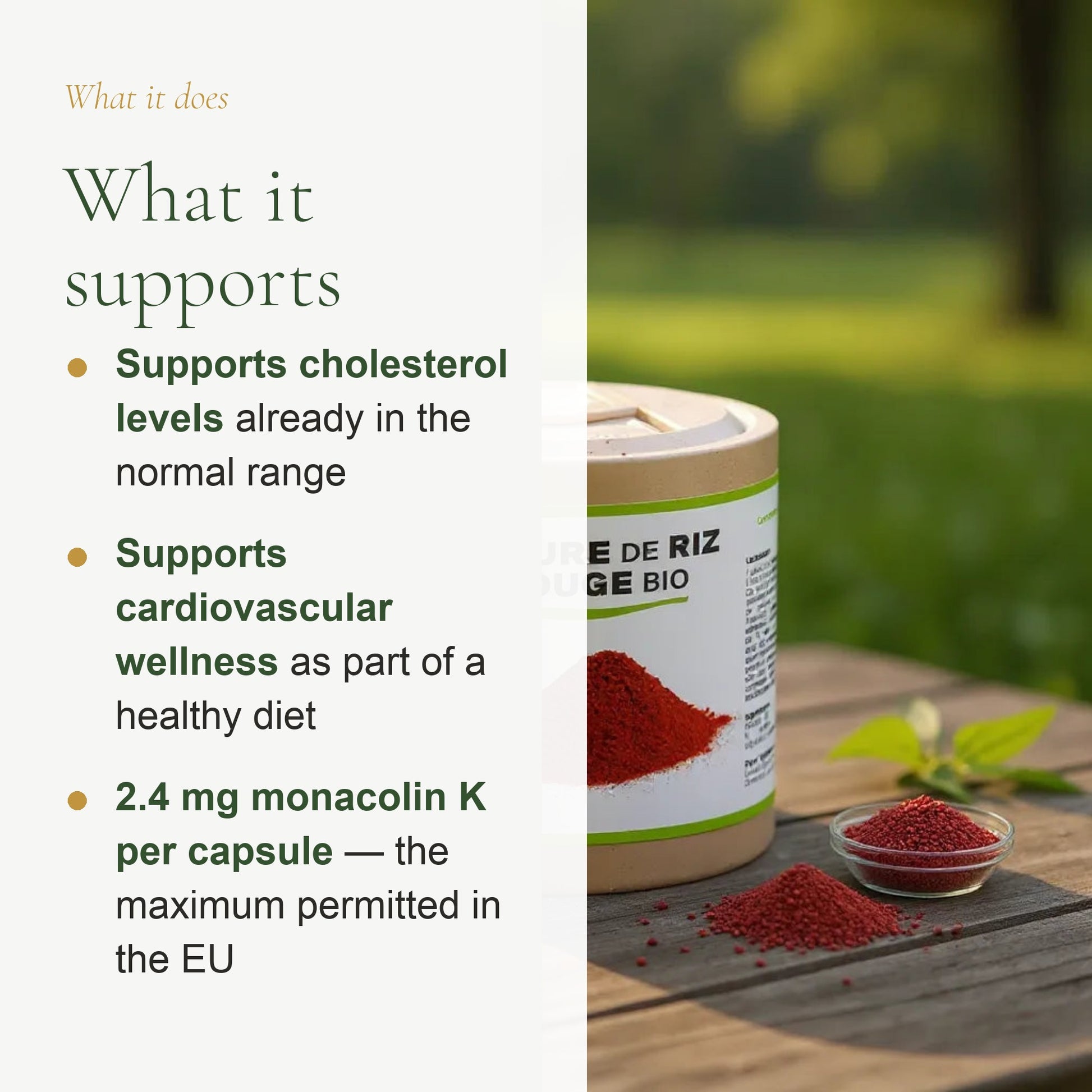 Organic Red Yeast Rice – Heart Health & Cholesterol Support – slide 2