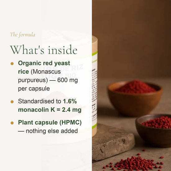Organic Red Yeast Rice – Heart Health & Cholesterol Support – slide 3