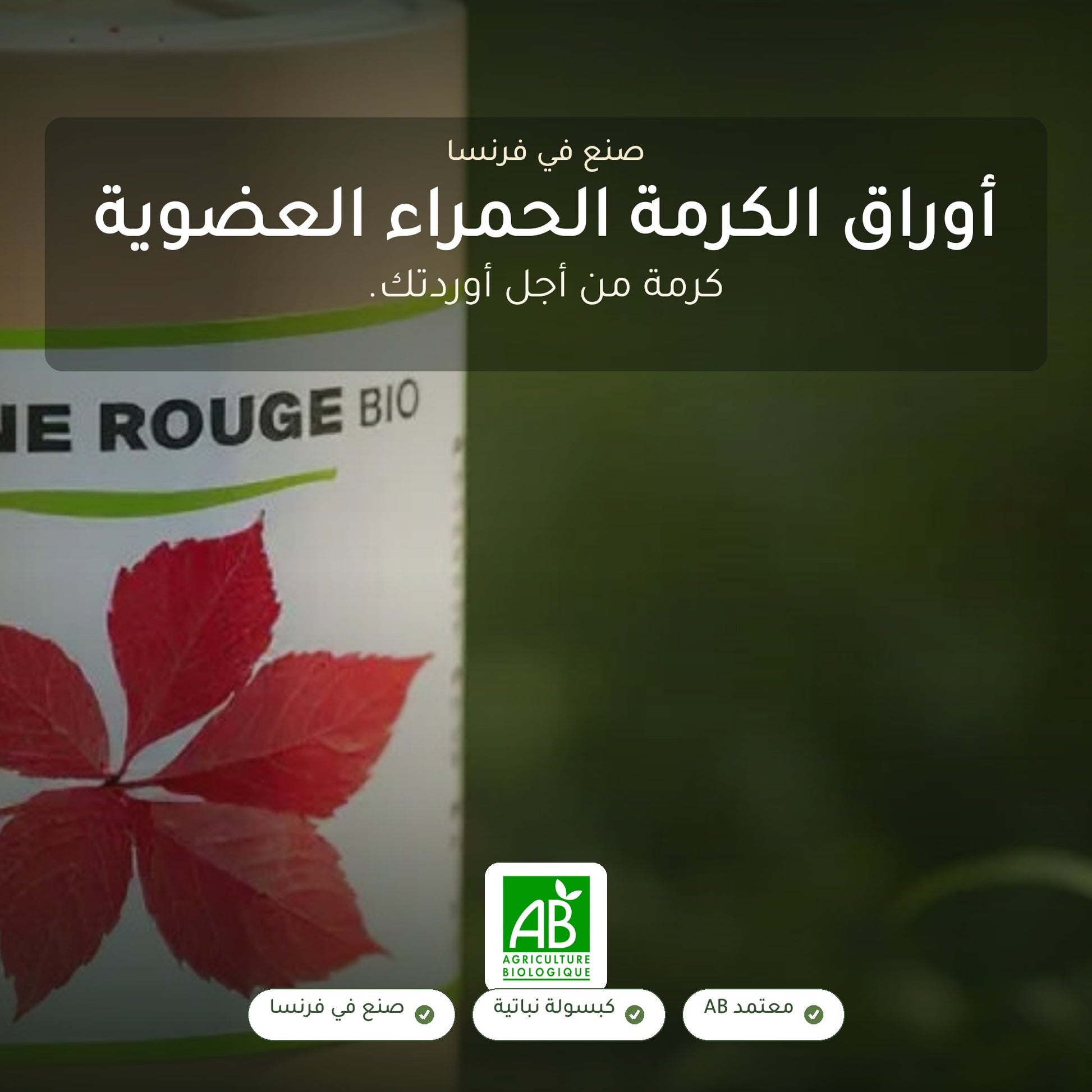 مكمل غذائي بالكرمة الحمراء العضوية – يدعم الدورة الدموية ونضارة البشرة – شريحة 1