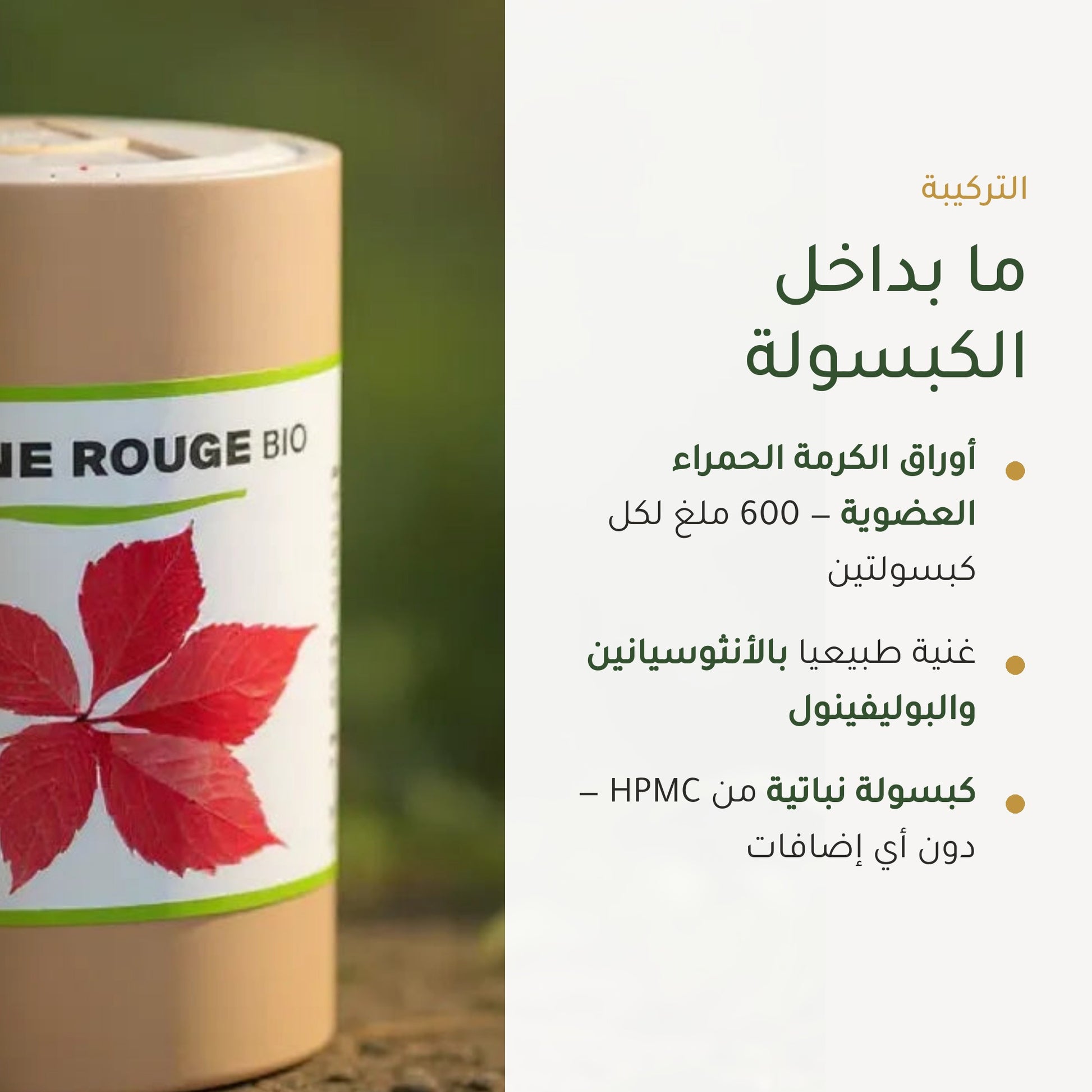 مكمل غذائي بالكرمة الحمراء العضوية – يدعم الدورة الدموية ونضارة البشرة – شريحة 3