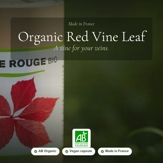 Organic Red Vine Leaf Supplement – Boosts Circulation & Enhances Skin Radiance – slide 1
