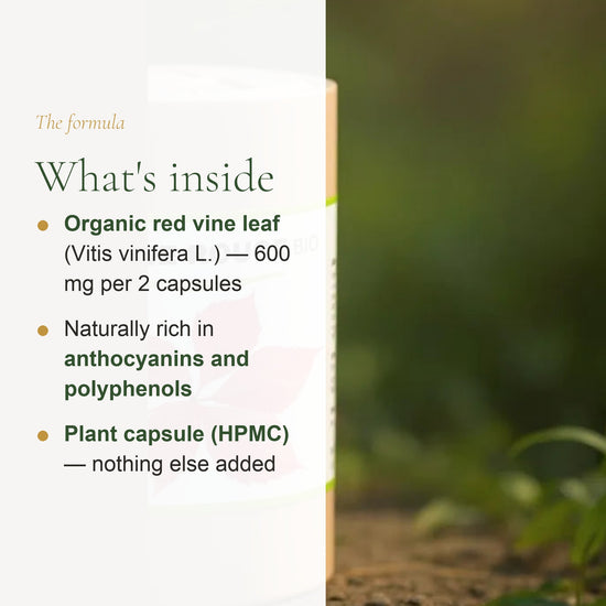 Organic Red Vine Leaf Supplement – Boosts Circulation & Enhances Skin Radiance – slide 3