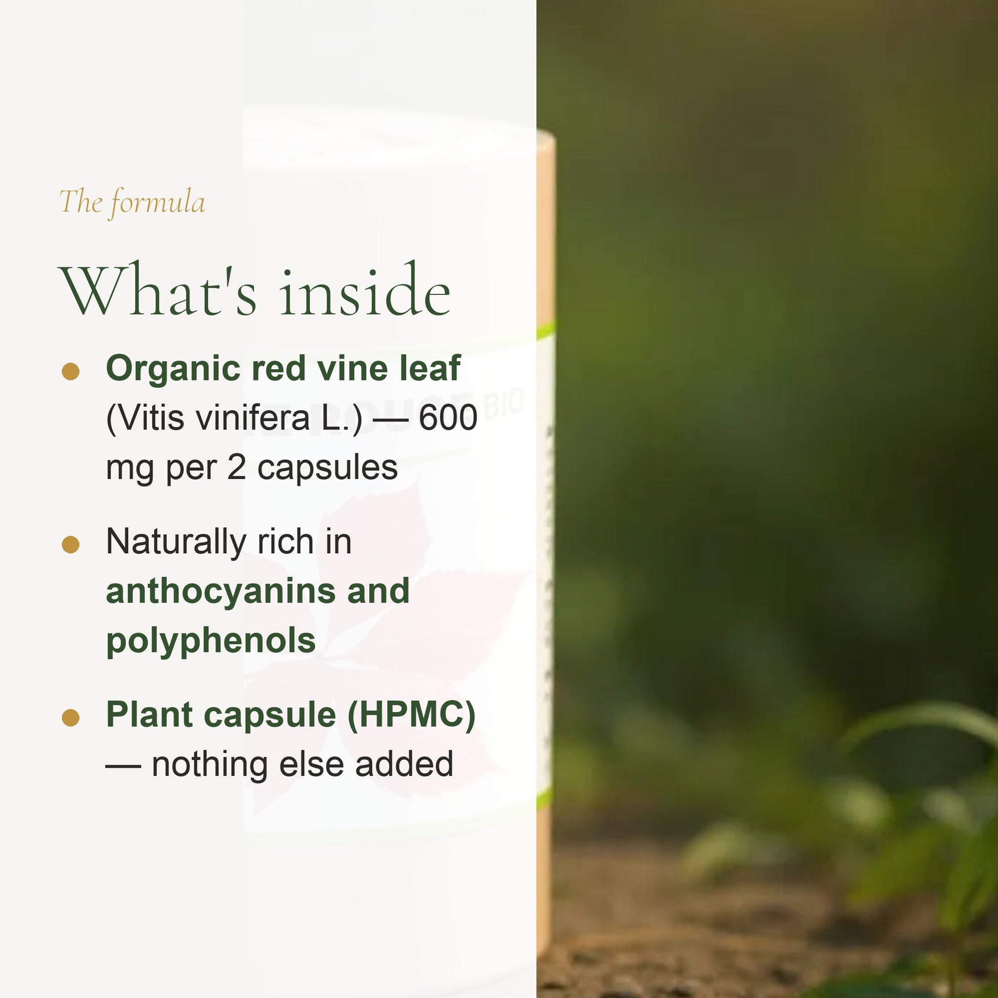 Organic Red Vine Leaf Supplement – Boosts Circulation & Enhances Skin Radiance – slide 3