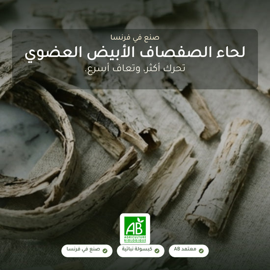 مكمل غذائي من لحاء الصفصاف العضوي – لدعم المفاصل والعضلات – شريحة 1