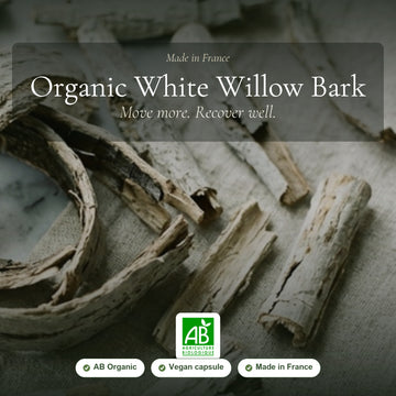 [EN] Organic White Willow Bark – Supports Joint Flexibility & Comfort – slide 1