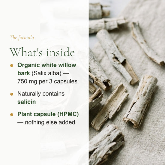 Organic White Willow Bark – Supports Joint Flexibility & Comfort – slide 3
