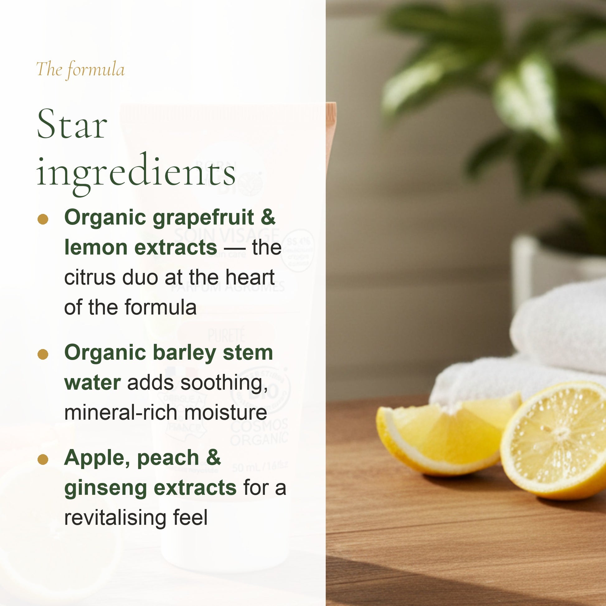 Organic Citrus Anti-Pollution Face Cream – slide 3