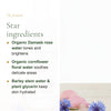 Organic Rose & Cornflower Toner – slide 3