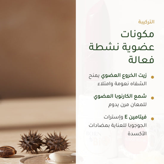 روج العضوي اللامع – تركيبة فرنسية | بورن تو بيو فيشي – شريحة 3
