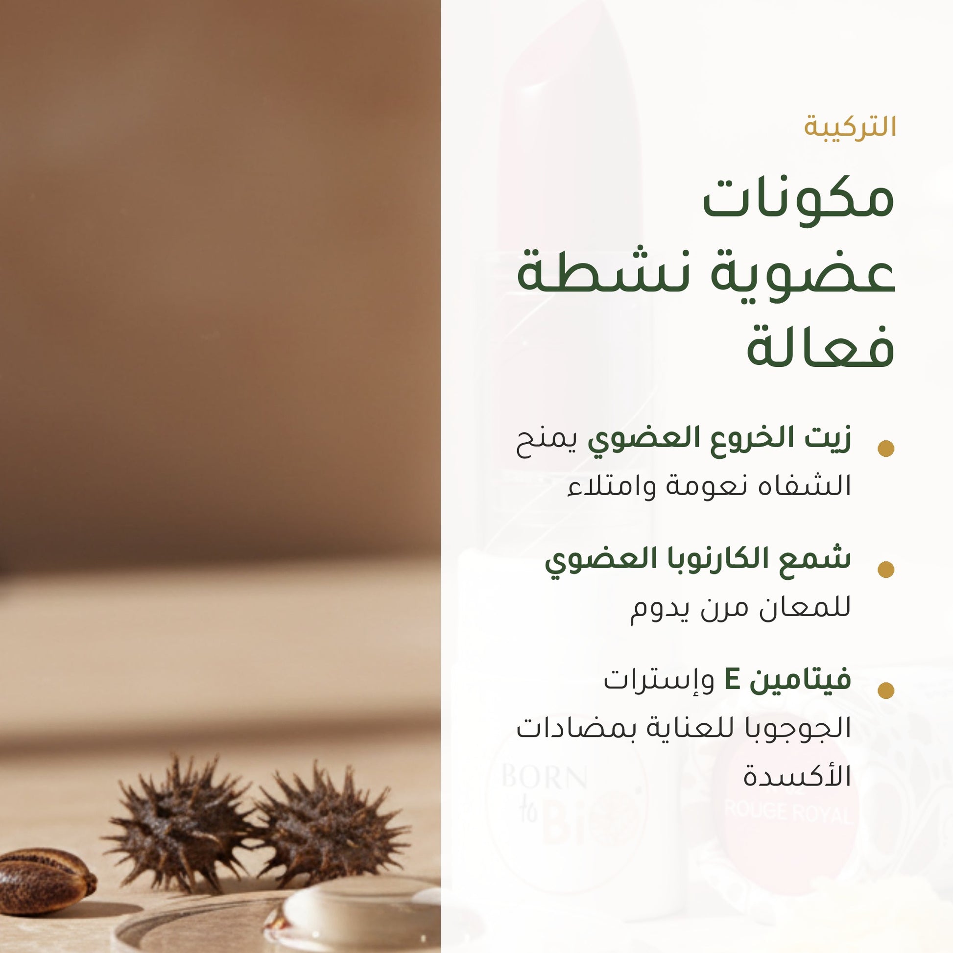 روج العضوي اللامع – تركيبة فرنسية | بورن تو بيو فيشي – شريحة 3