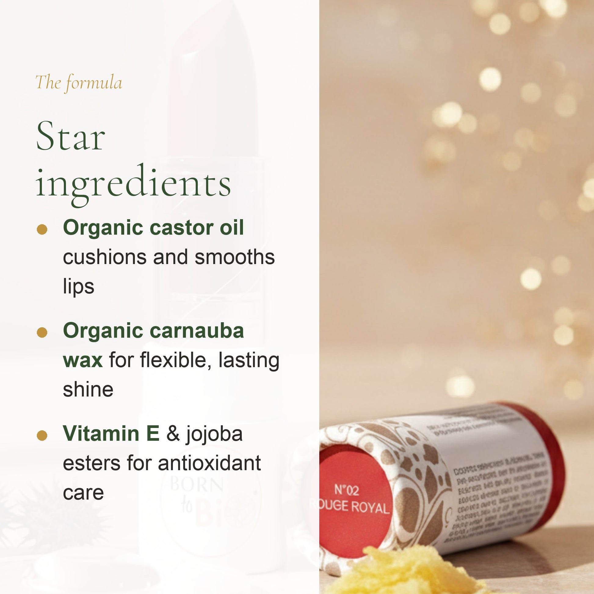 Certified Organic Shiny Lipstick – Nourishing Plant Oils – slide 3
