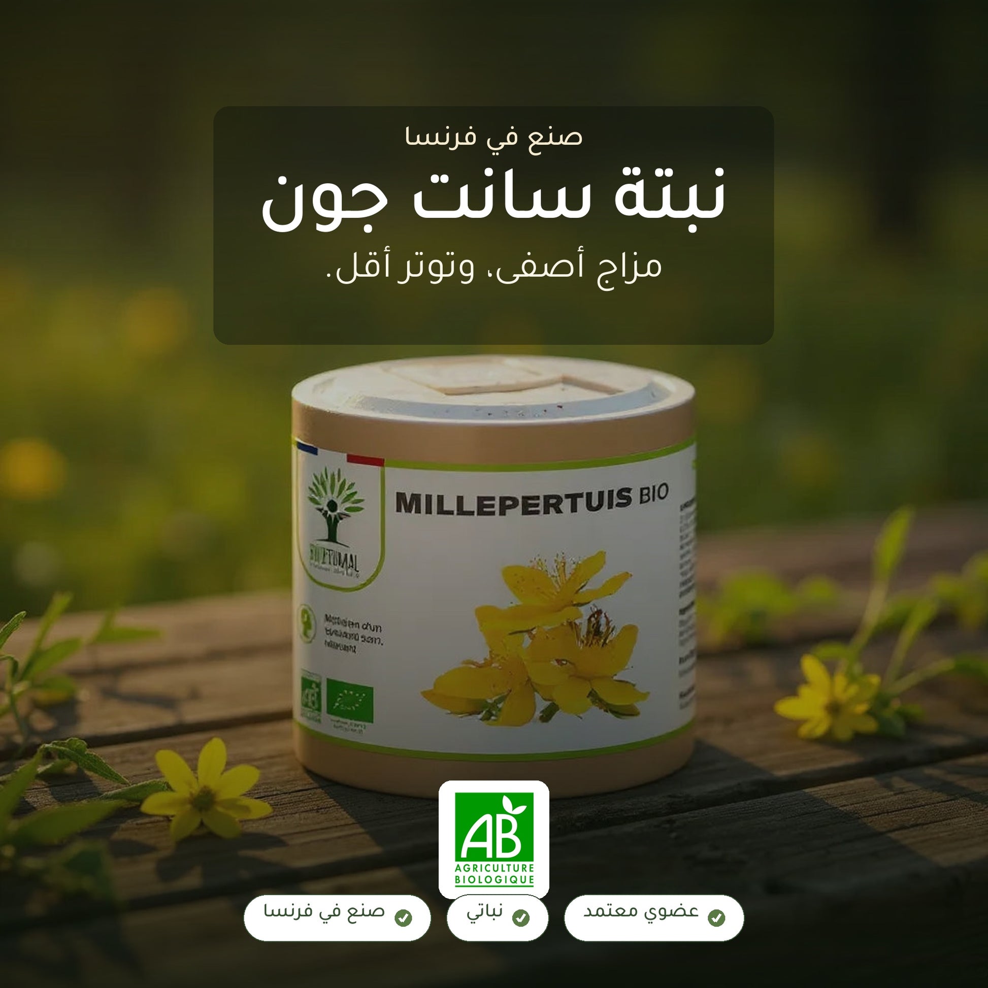 مكمّل نبتة سانت جون العضوي – لدعم المزاج والاسترخاء – معتمد عضوياً AB وصنع في فرنسا