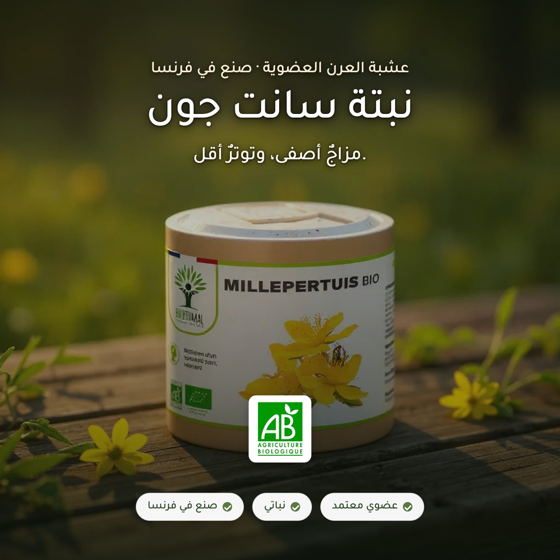 مكمّل نبتة سانت جون العضوي لدعم المزاج (1)