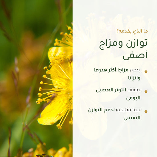 فوائد عشبة العرن العضوية – مزاج أكثر هدوءاً واتزاناً وتخفيف التوتر العصبي اليومي