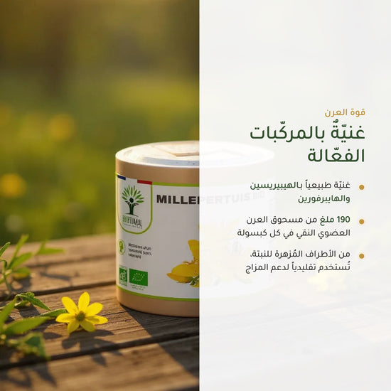 مكمّل نبتة سانت جون العضوي لدعم المزاج (3)