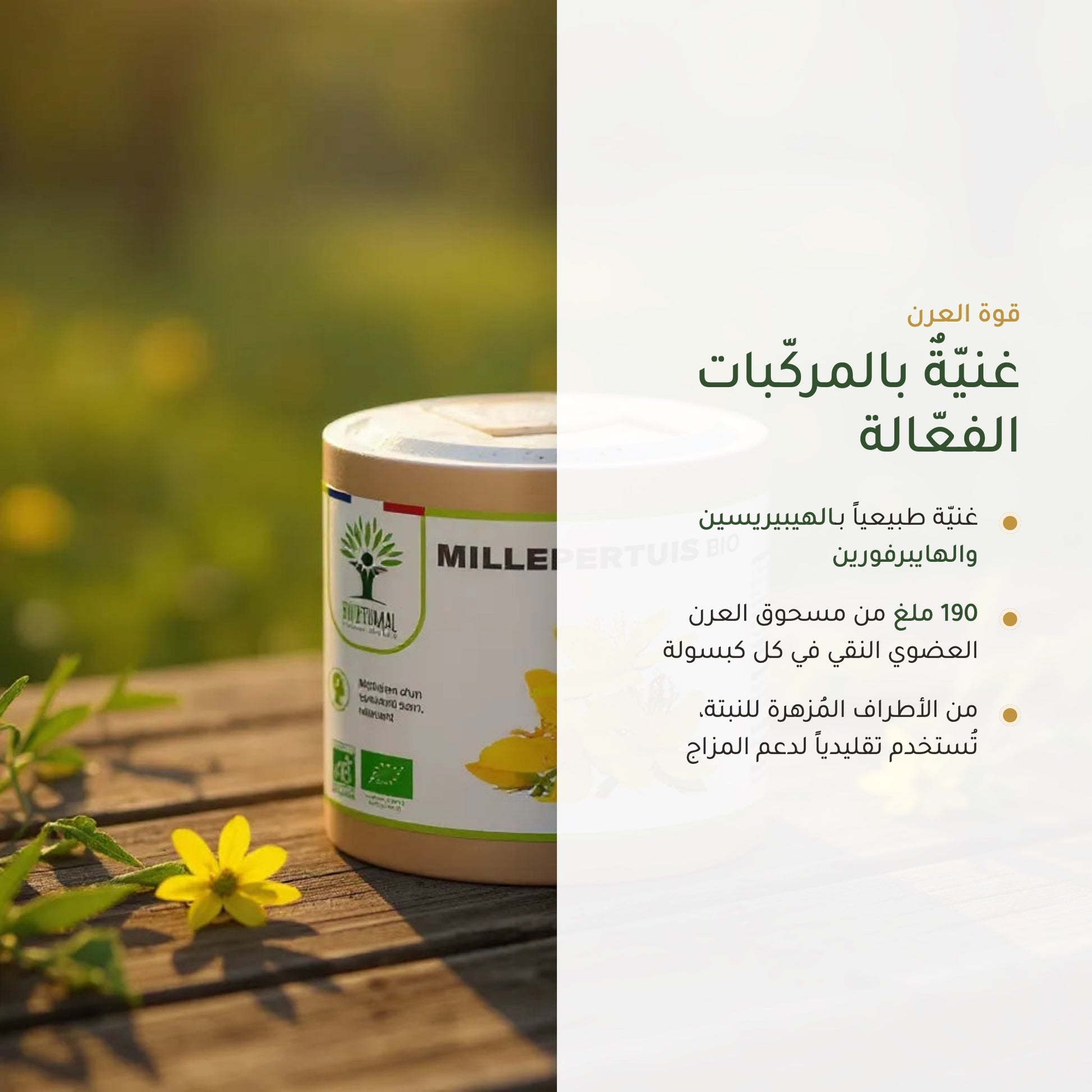 مكمّل نبتة سانت جون العضوي لدعم المزاج (3)