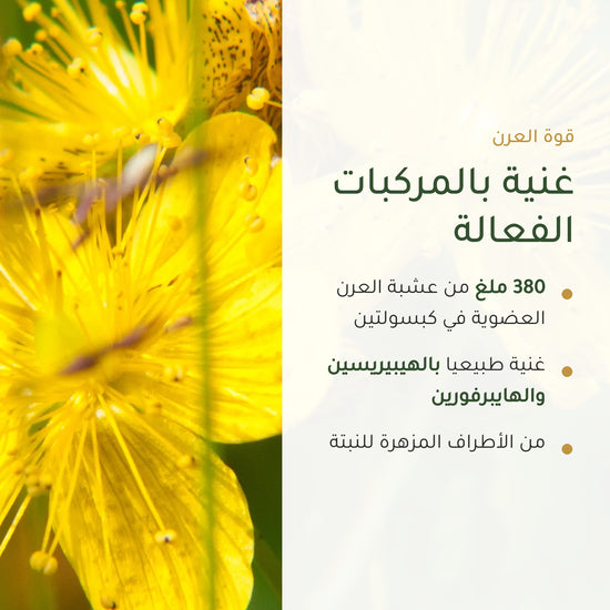 380 ملغ من عشبة العرن العضوية في كبسولتين – الهيبيريسين والهايبرفورين