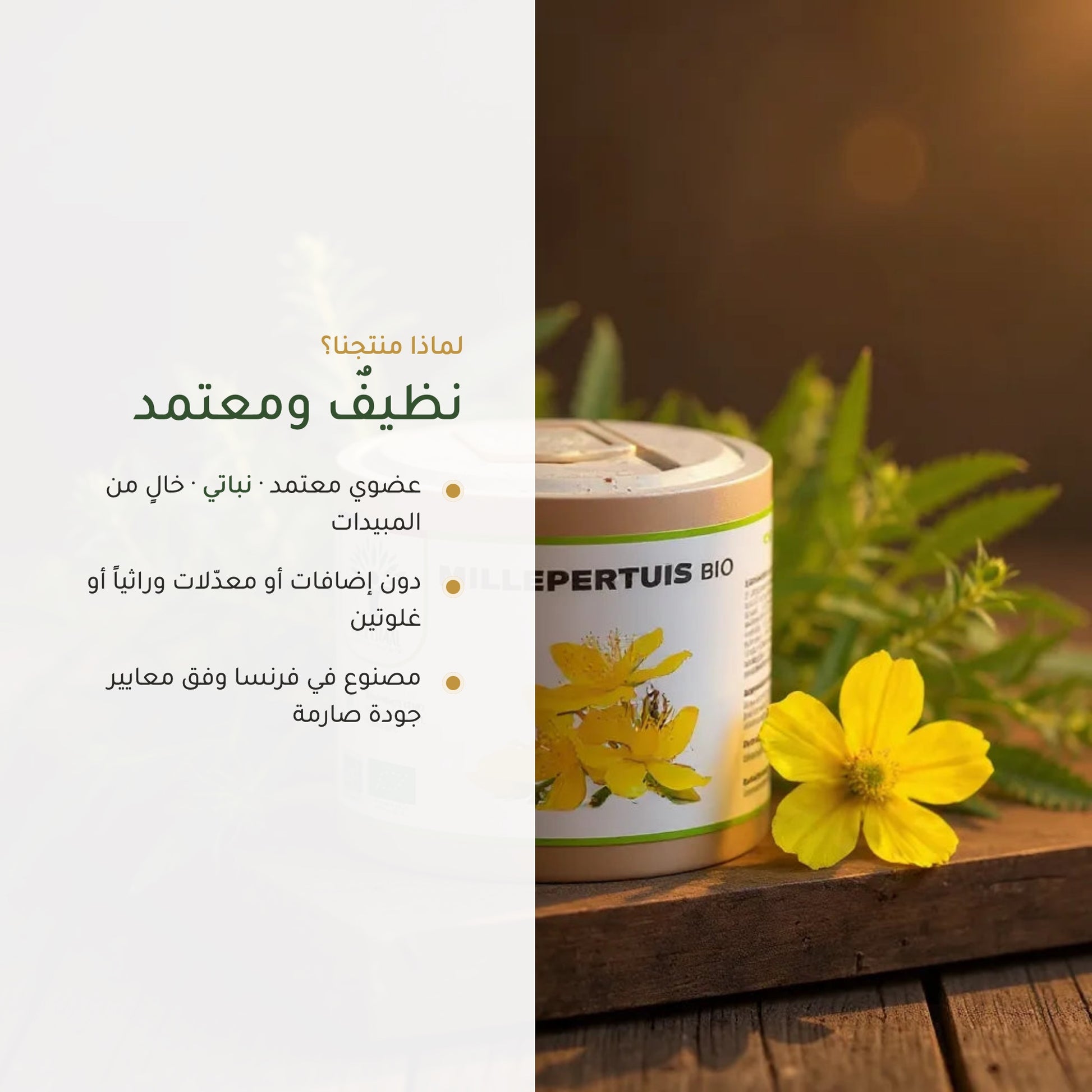 مكمّل نبتة سانت جون العضوي لدعم المزاج (4)