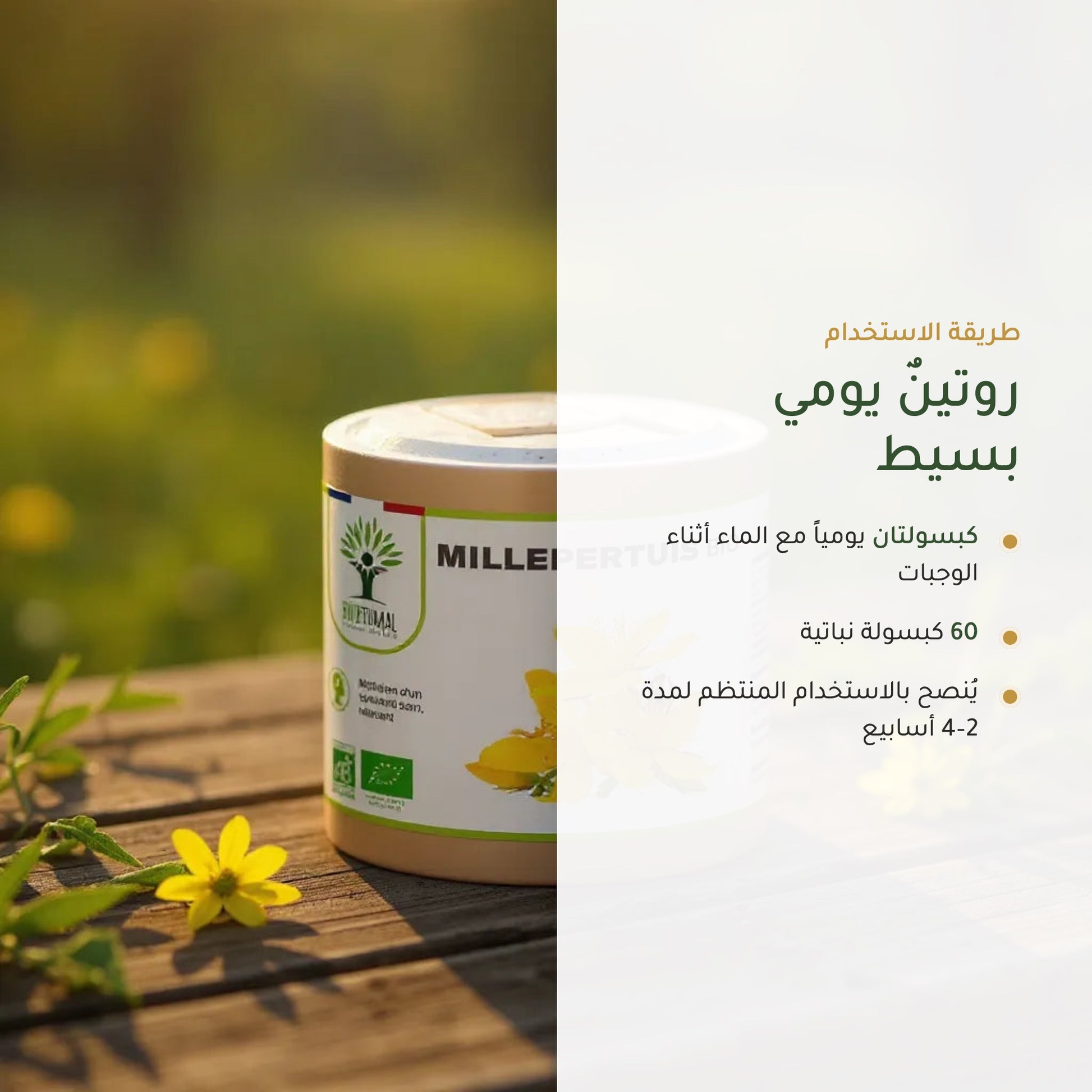 مكمّل نبتة سانت جون العضوي لدعم المزاج (5)