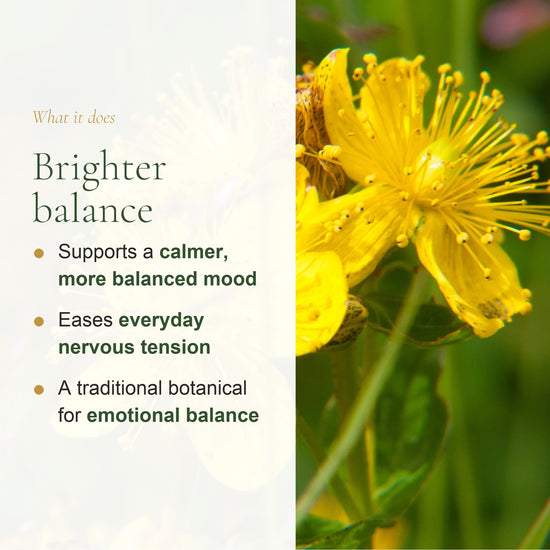 Organic St. John's Wort Benefits – Calmer Balanced Mood, Eases Everyday Nervous Tension