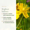 Organic St. John's Wort Benefits – Calmer Balanced Mood, Eases Everyday Nervous Tension