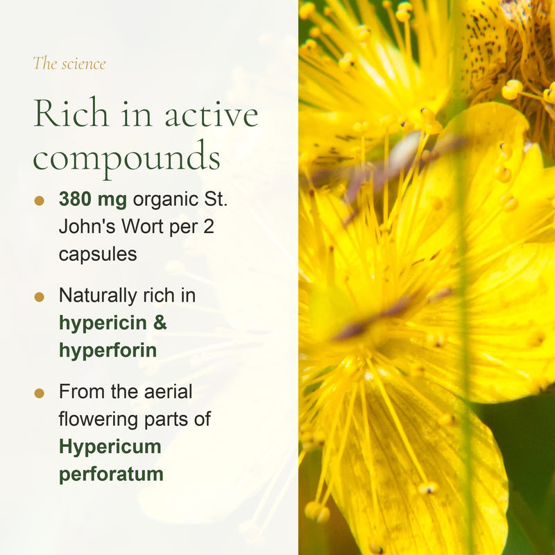 [EN] 380 mg Organic St. John's Wort per 2 Capsules – Hypericin & Hyperforin, Hypericum Perforatum