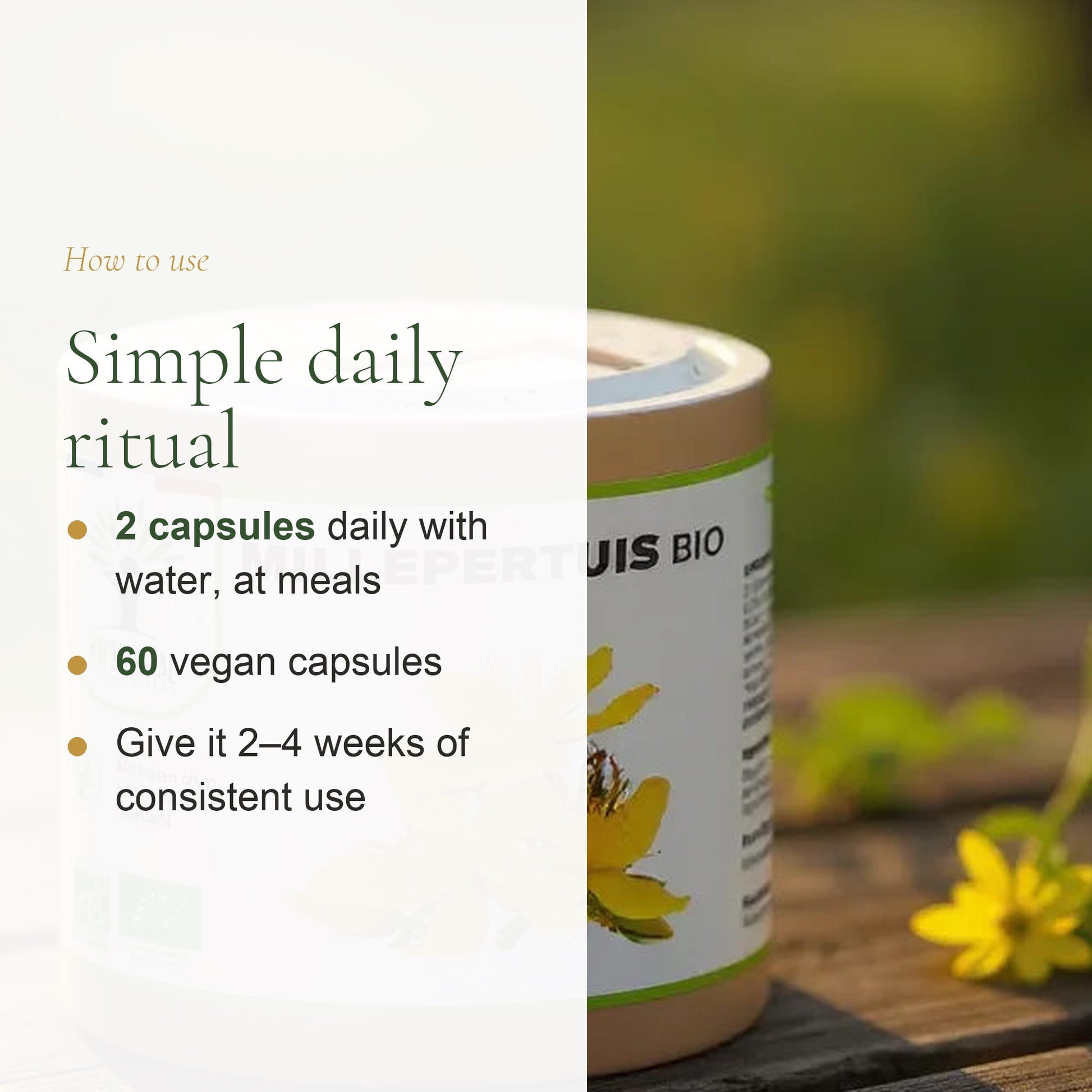 How to Use Organic St. John's Wort – 2 Capsules Daily with Meals – 60 Vegan Capsules