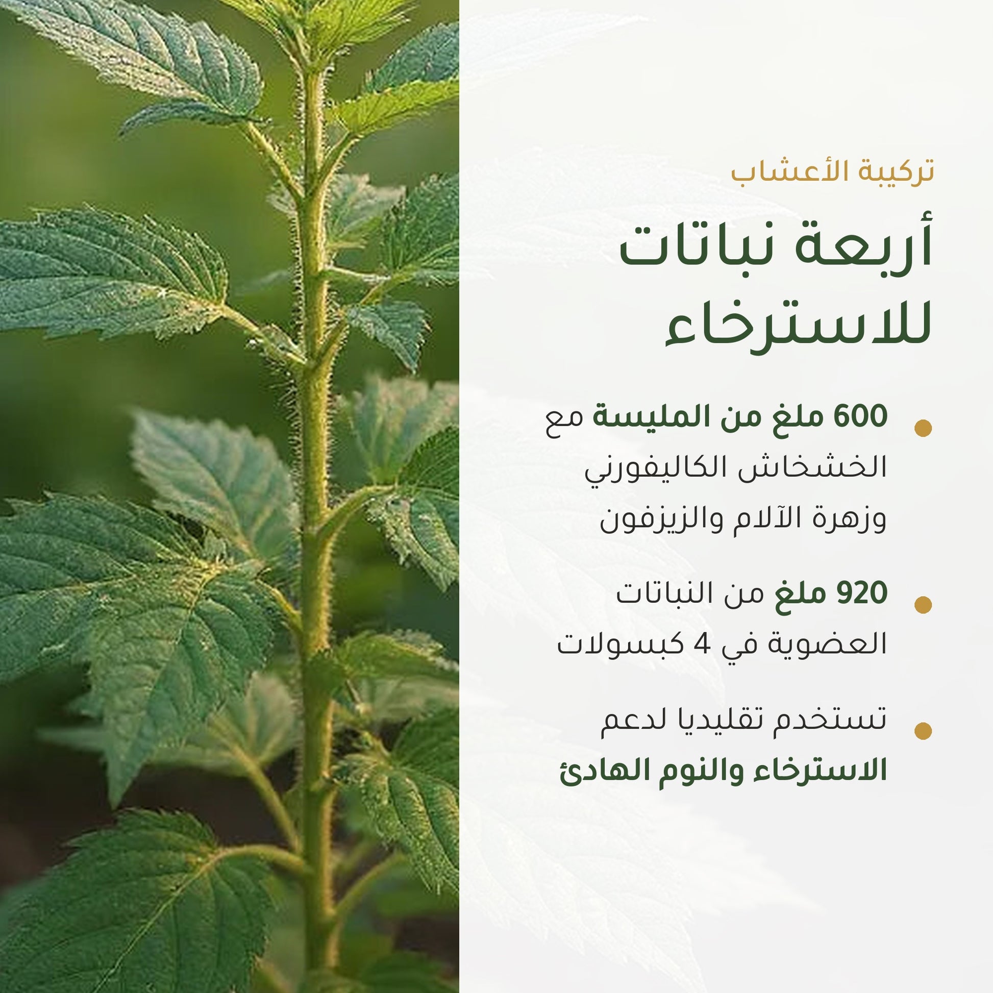 920 ملغ من النباتات العضوية في 4 كبسولات – 600 ملغ مليسة مع الخشخاش الكاليفورني وزهرة الآلام