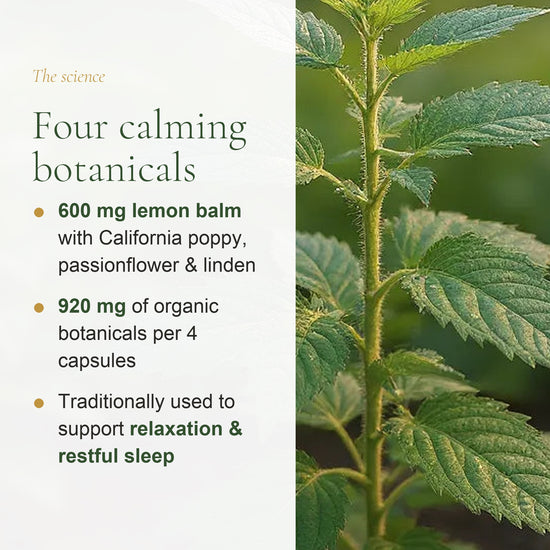 920 mg Organic Botanicals per 4 Capsules – 600 mg Lemon Balm with California Poppy, Passionflower, Linden