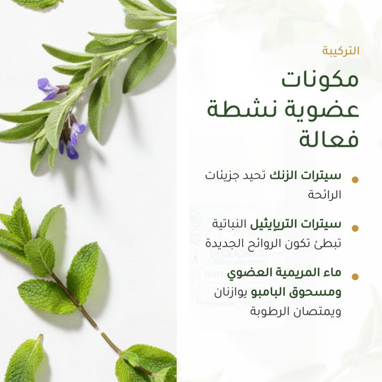 مزيل عرق بالنعناع الأخضر العضوي – صُنع في فيشي، فرنسا | بورن تو بيو فيشي – شريحة 3