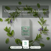 Organic Spearmint Deodorant – slide 1
